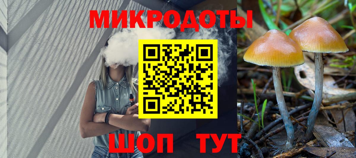 Псилоцибиновые грибы Psilocybine cubensis Благовещенск