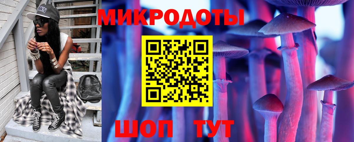 Галлюциногенные грибы Magic Shrooms  Вход с VPN  Благовещенск  Псилоцибиновые грибы Psilocybe 